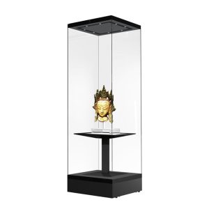 Exquisite High-End Acrylic Display Cabinets HE-2898
