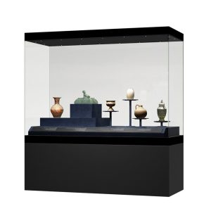 Heritage Conservation Display Systems HS-7898